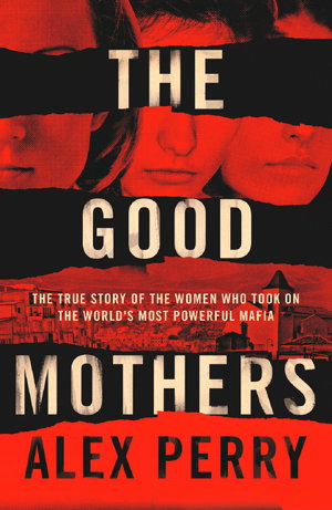 Cover art for The Good Mothers