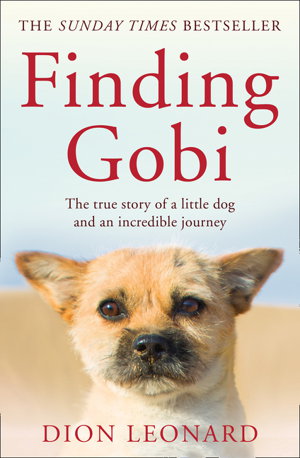 Cover art for Finding Gobi (Main edition)