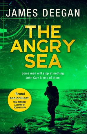 Cover art for The Angry Sea