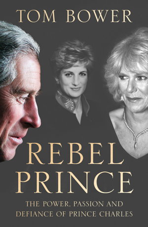 Cover art for Rebel Prince