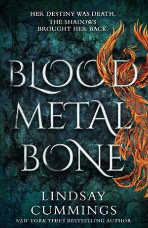Cover art for Blood Metal Bone