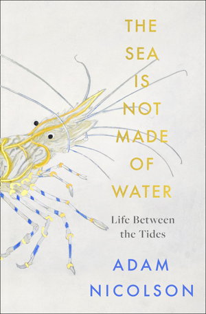 Cover art for The Sea is Not Made of Water