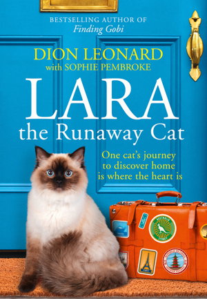 Cover art for Lara the Runaway Cat