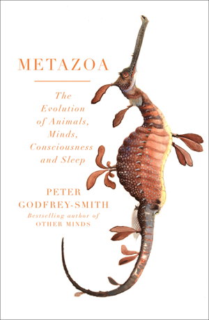 Cover art for Metazoa