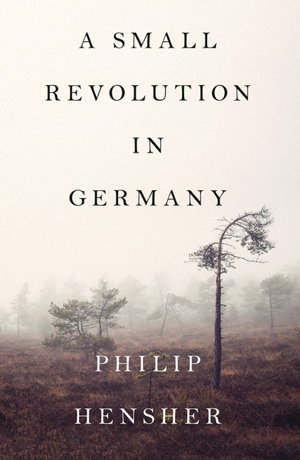 Cover art for A Small Revolution In Germany