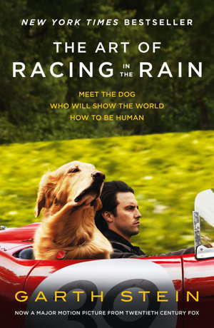 Cover art for Art Of Racing In The Rain