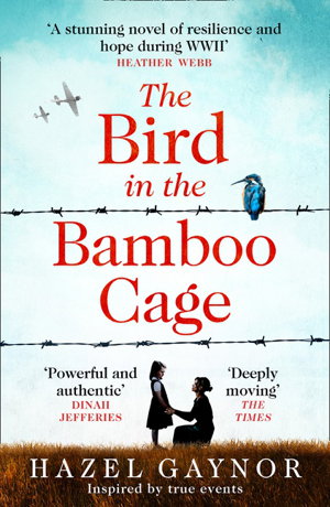 Cover art for The Bird in the Bamboo Cage