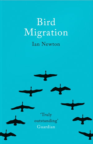Cover art for Bird Migration
