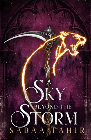 Cover art for A Sky Beyond the Storm