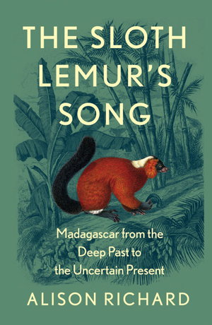 Cover art for Sloth Lemur's Song