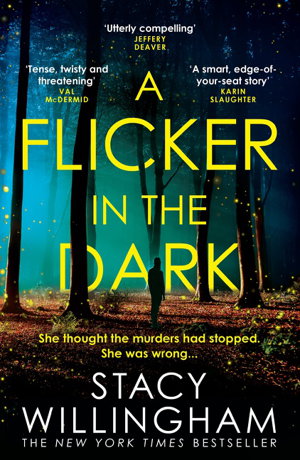 Cover art for A Flicker in the Dark