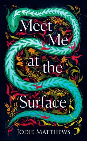 Cover art for Meet Me at the Surface