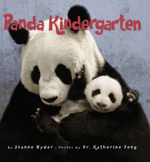 Cover art for Panda Kindergarten