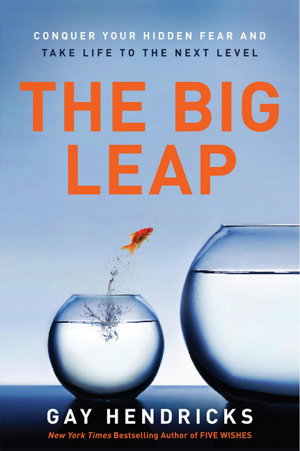 Cover art for The Big Leap