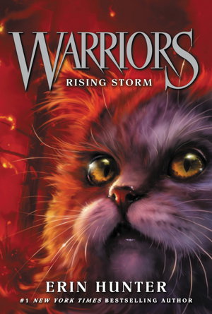 Cover art for Warriors 04 Rising Storm