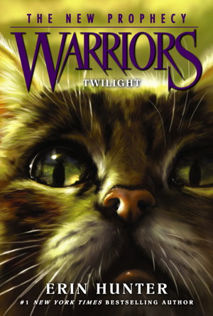 Cover art for Warriors Power of Three 5 Long Shadows