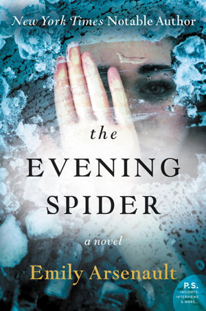 Cover art for The Evening Spider