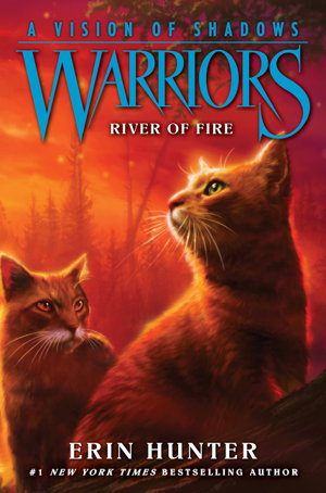 Cover art for Warriors A Vision of Shadows #5 River of Fire