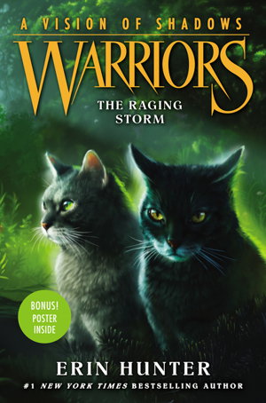 Cover art for Warriors A Vision of Shadows 06 The Raging Storm