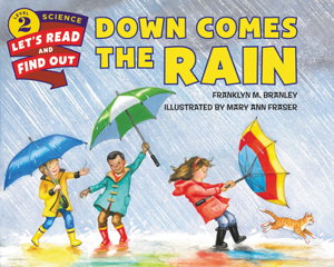 Cover art for Down Comes The Rain