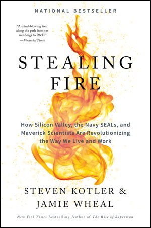 Cover art for Stealing Fire