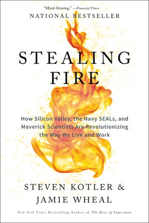 Cover art for Stealing Fire