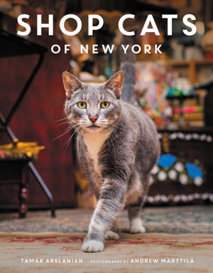 Cover art for Shop Cats Of New York