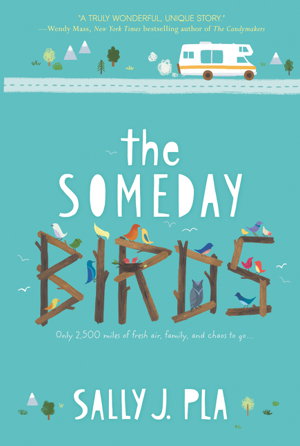 Cover art for The Someday Birds