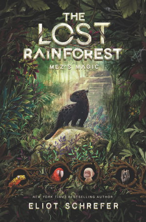 Cover art for The Lost Rainforest