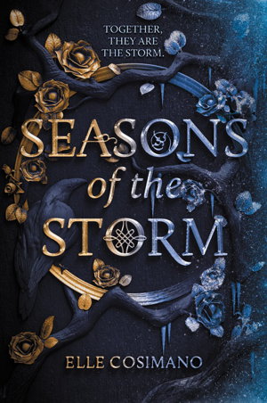 Cover art for Seasons of the Storm