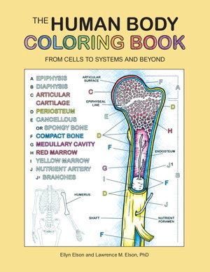 Cover art for The Human Body Coloring Book