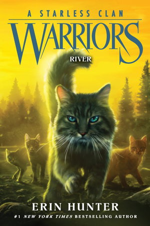 Cover art for Warriors A Starless Clan 01 River