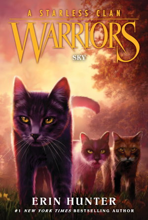 Cover art for Warriors A Starless Clan 02 Sky