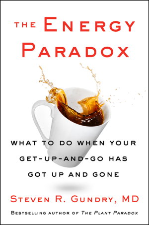 Cover art for The Energy Paradox