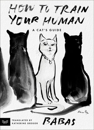 Cover art for How to Train Your Human