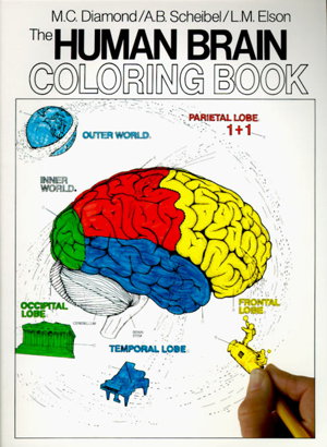 Cover art for The Human Brain Coloring Book