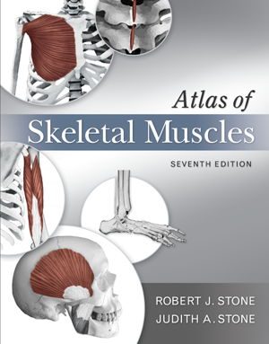 Cover art for Atlas of Skeletal Muscles