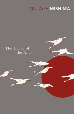 Cover art for The Decay of the Angel