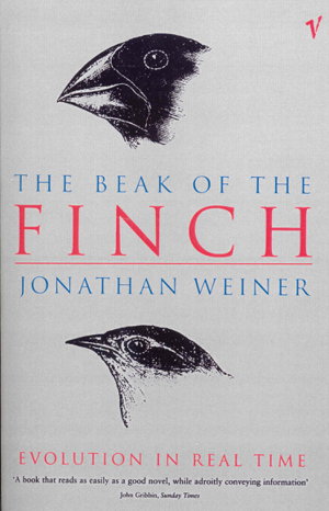 Cover art for Beak Of The Finch