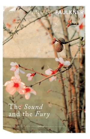 Cover art for The Sound and the Fury