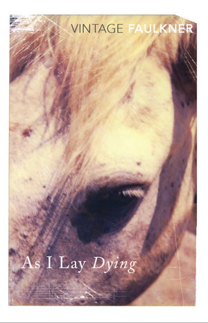 Cover art for As I Lay Dying