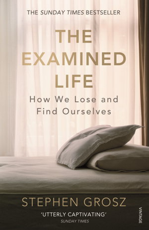 Cover art for Examined Life