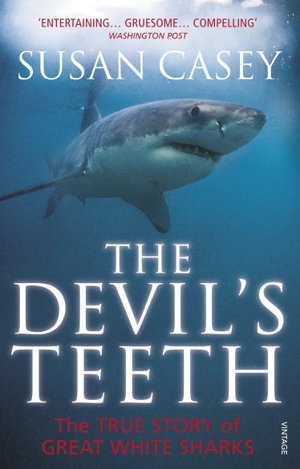 Cover art for Devil's Teeth