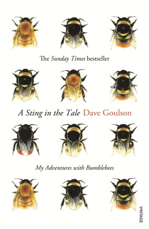 Cover art for A Sting in the Tale