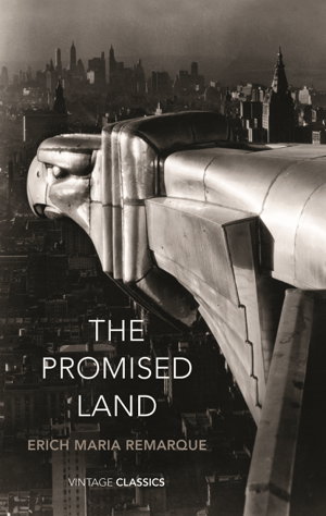 Cover art for The Promised Land