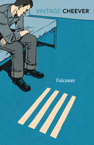 Cover art for Falconer