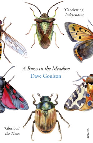 Cover art for A Buzz in the Meadow