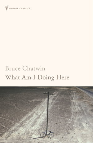 Cover art for What Am I Doing Here?