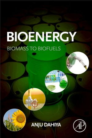 Cover art for Bioenergy