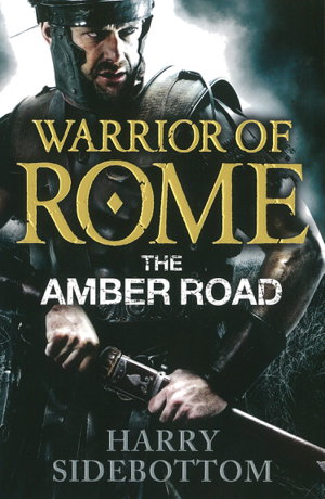 Cover art for Warrior of Rome The Amber Road